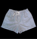 Blue and White Striped Shorts